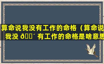 算命说我没有工作的命格（算命说我没 🐴 有工作的命格是啥意思）